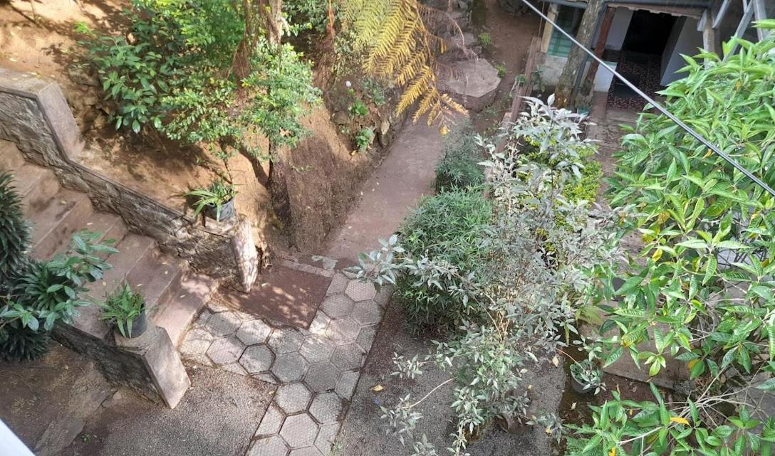 King Fern Cottage نوفارا إيلِيا المظهر الخارجي الصورة