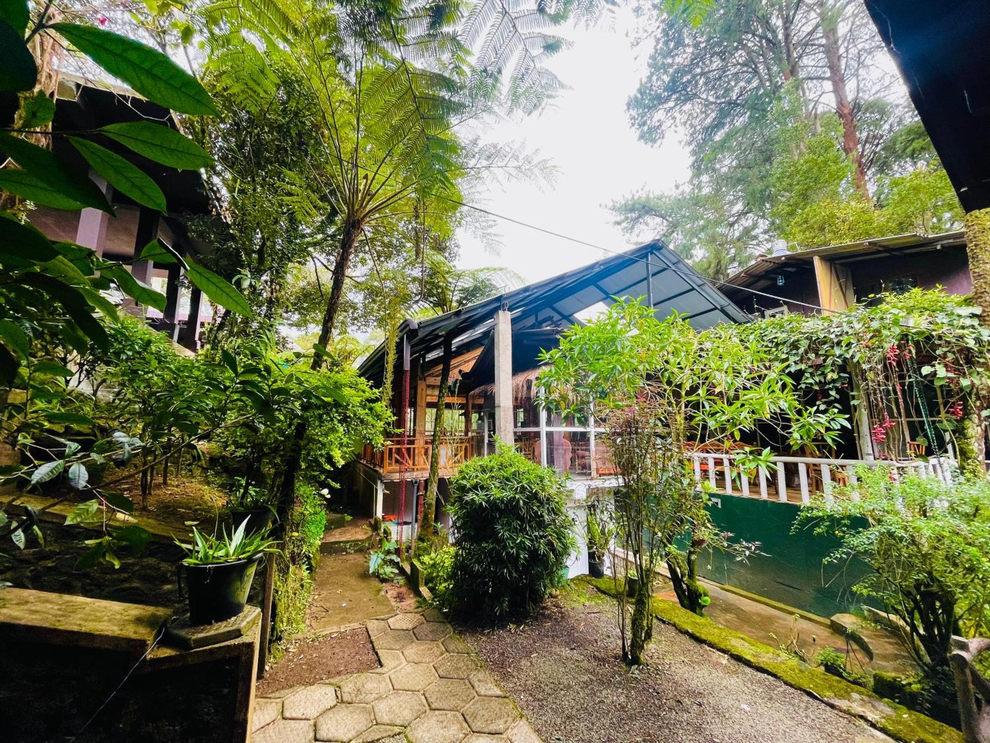 King Fern Cottage نوفارا إيلِيا المظهر الخارجي الصورة