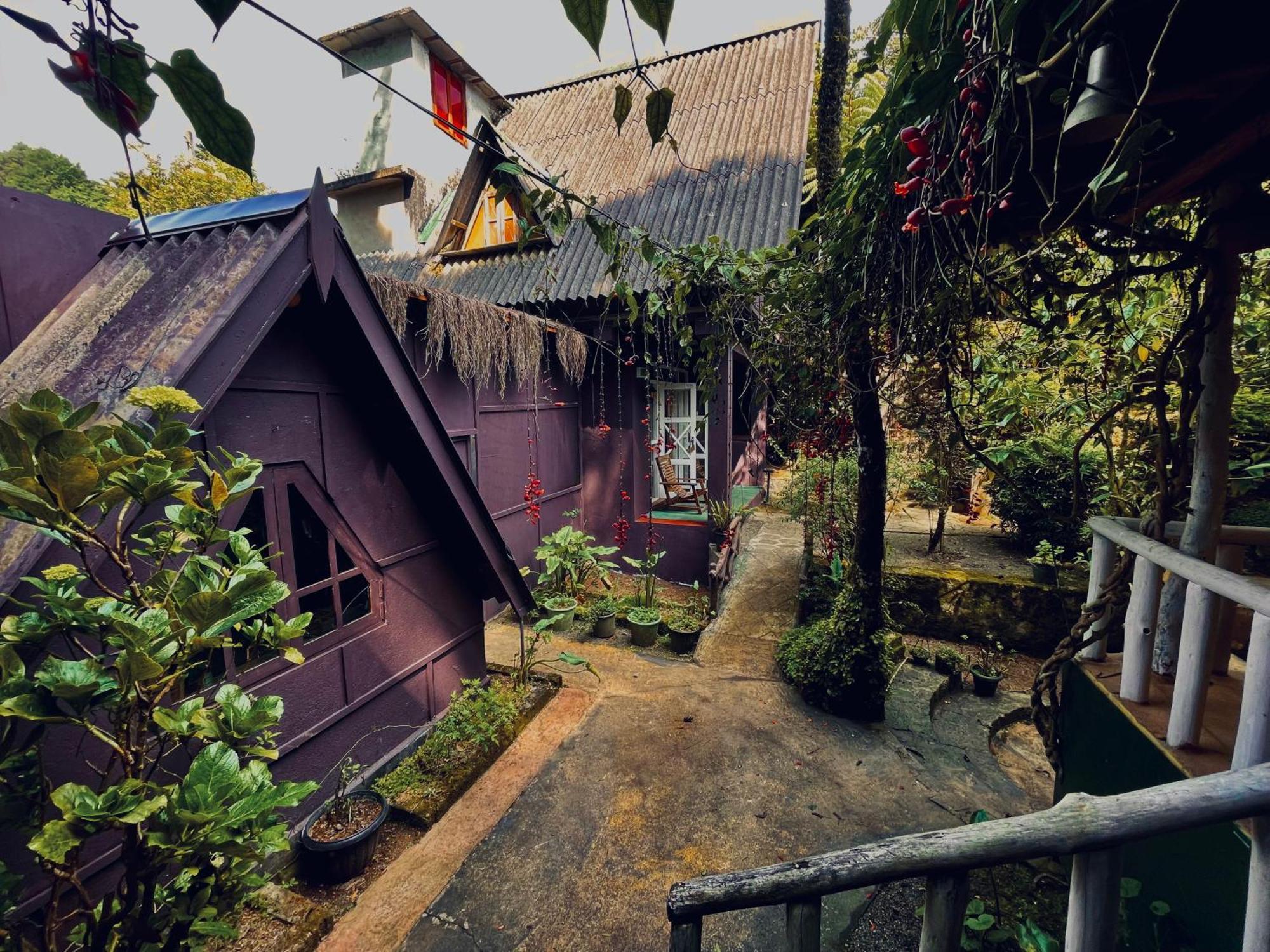 King Fern Cottage نوفارا إيلِيا المظهر الخارجي الصورة