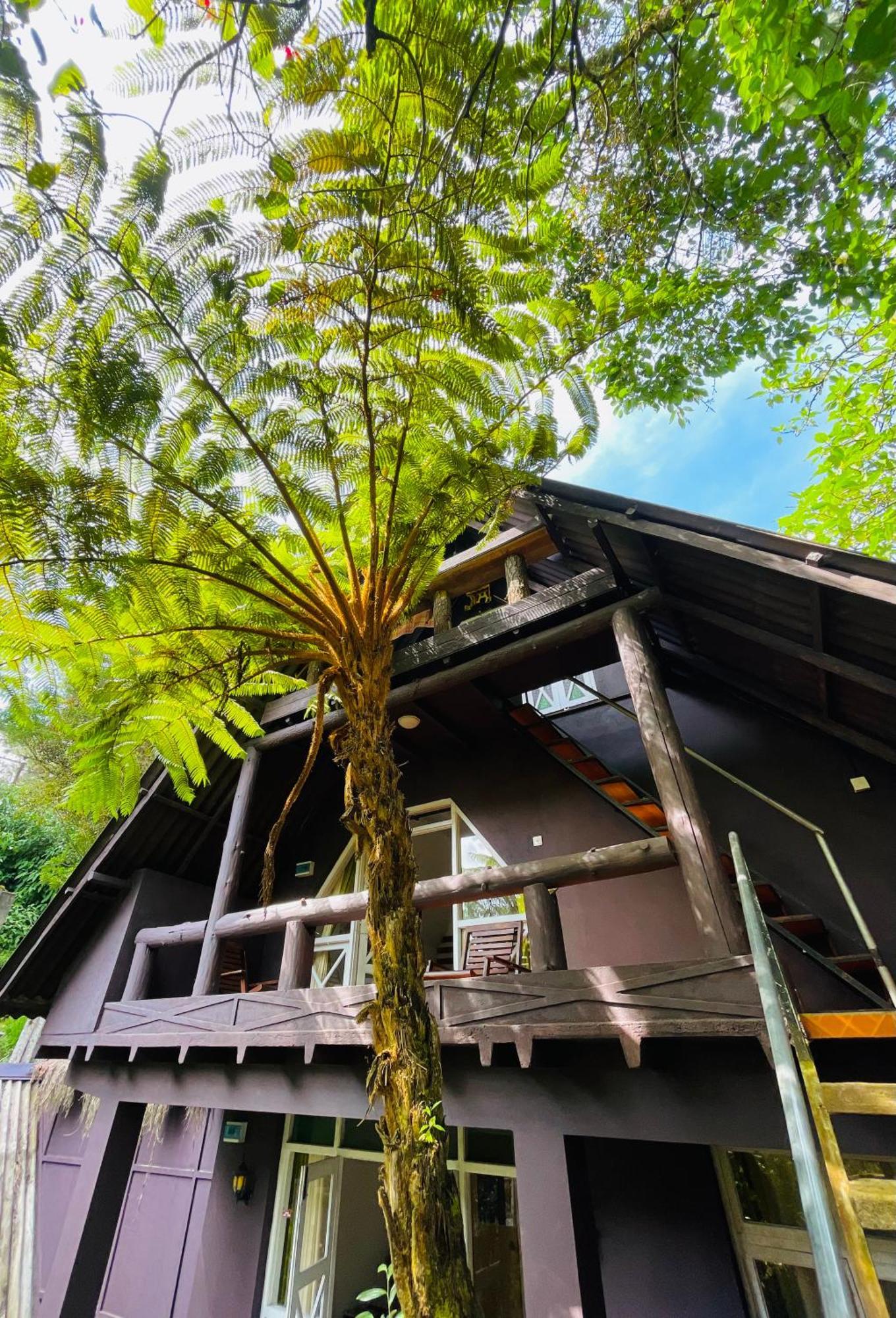 King Fern Cottage نوفارا إيلِيا المظهر الخارجي الصورة