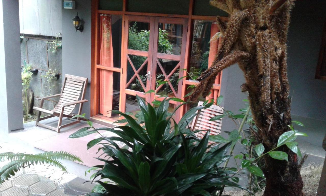 King Fern Cottage نوفارا إيلِيا المظهر الخارجي الصورة