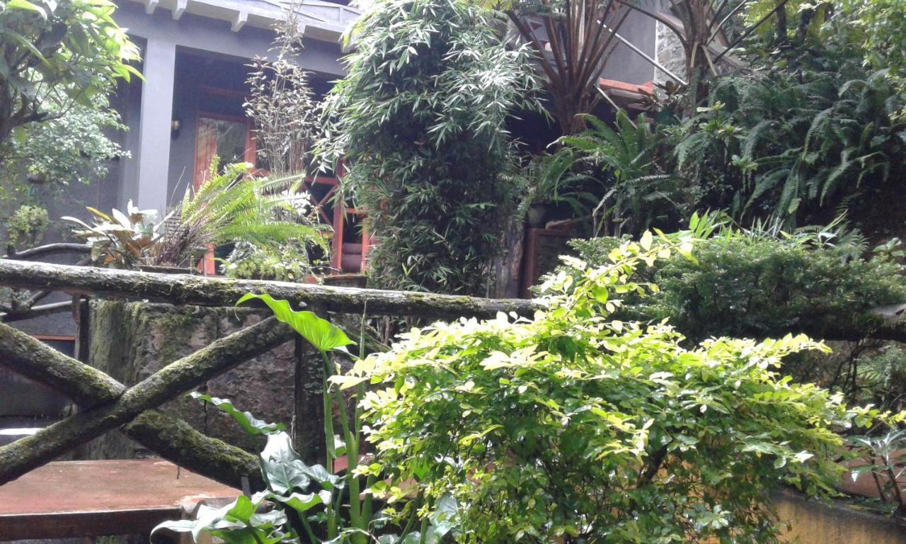 King Fern Cottage نوفارا إيلِيا المظهر الخارجي الصورة