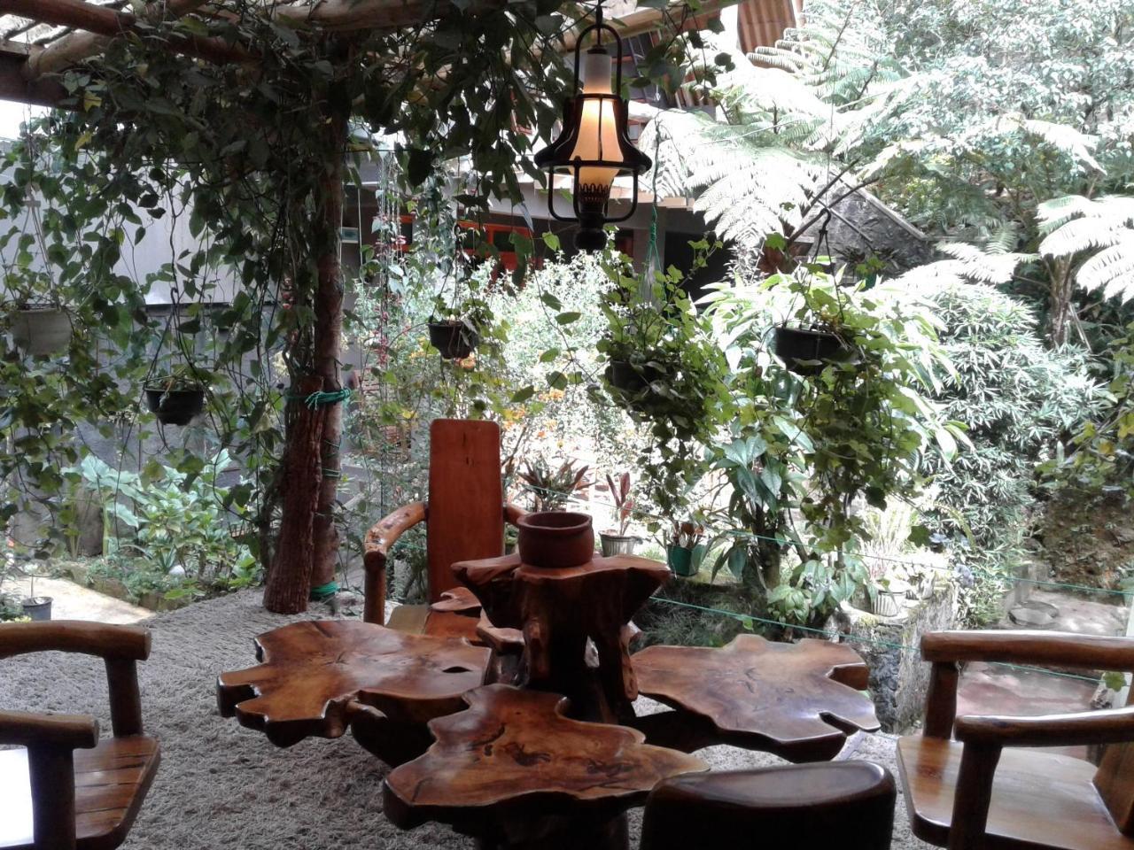 King Fern Cottage نوفارا إيلِيا المظهر الخارجي الصورة
