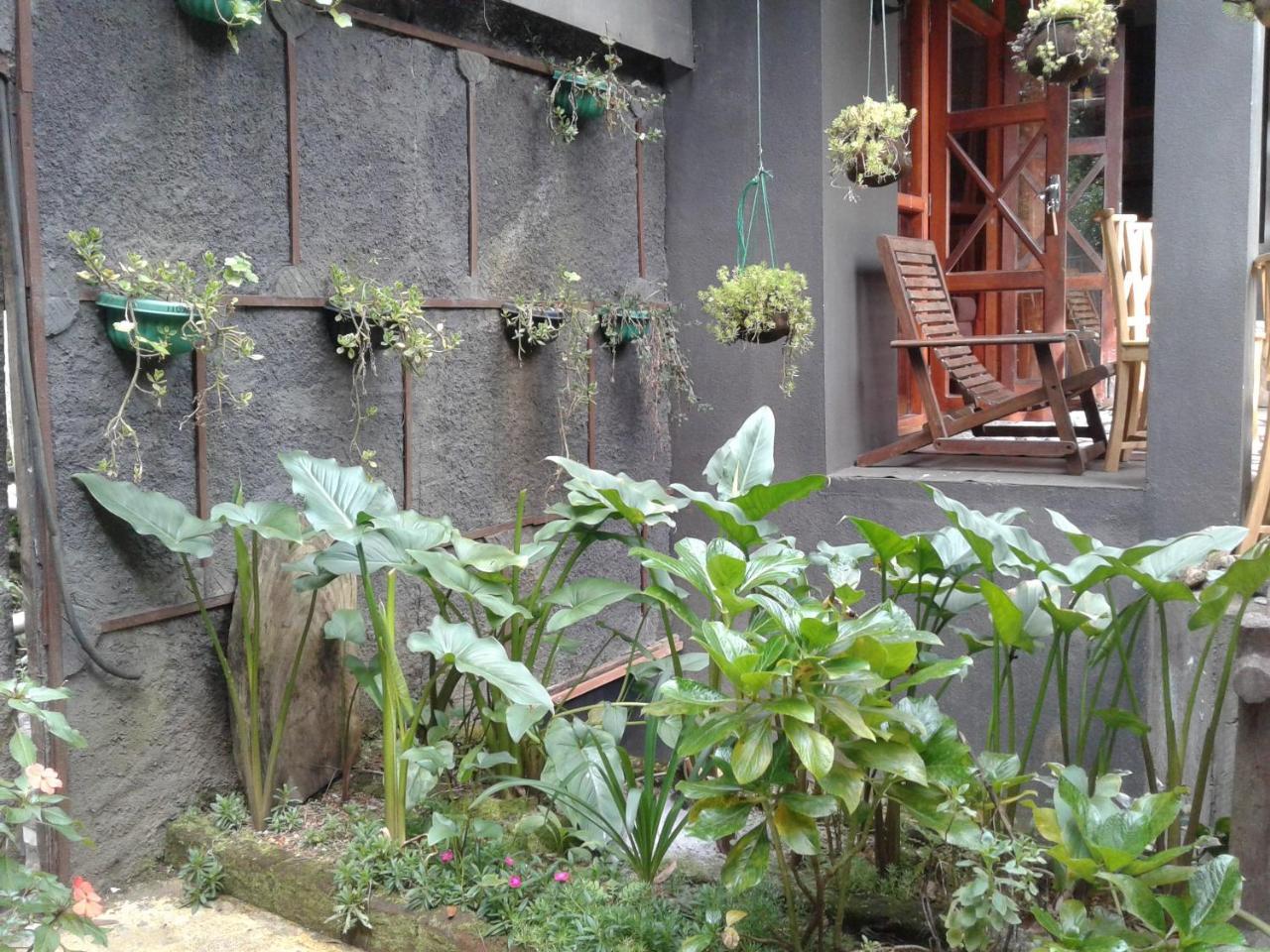 King Fern Cottage نوفارا إيلِيا المظهر الخارجي الصورة