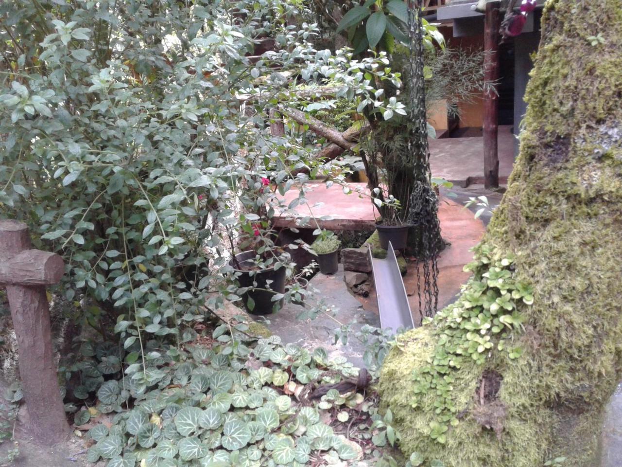 King Fern Cottage نوفارا إيلِيا المظهر الخارجي الصورة