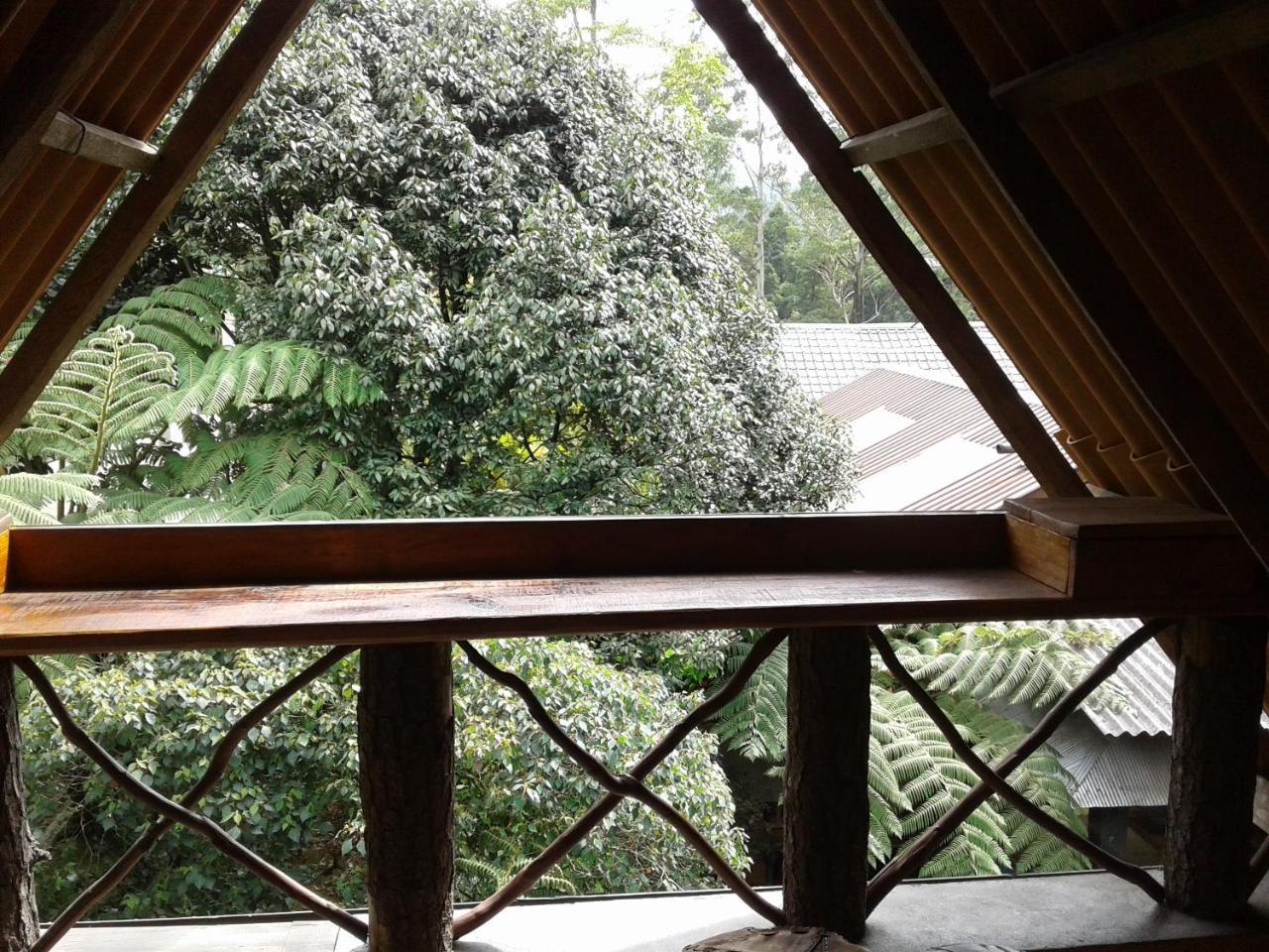 King Fern Cottage نوفارا إيلِيا المظهر الخارجي الصورة