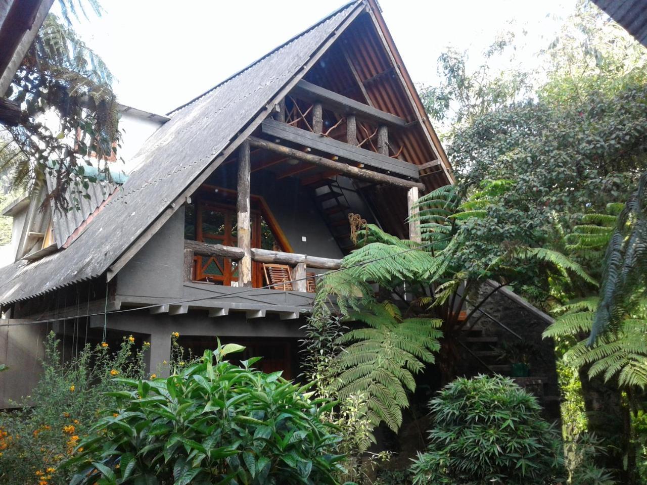 King Fern Cottage نوفارا إيلِيا المظهر الخارجي الصورة